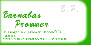 barnabas prommer business card